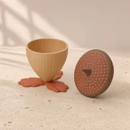 The acorn box in Acorn, bark & rust